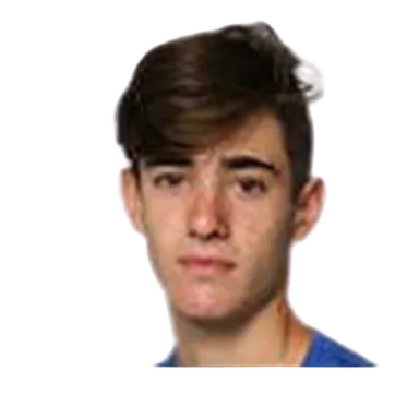 Gustavo Heide