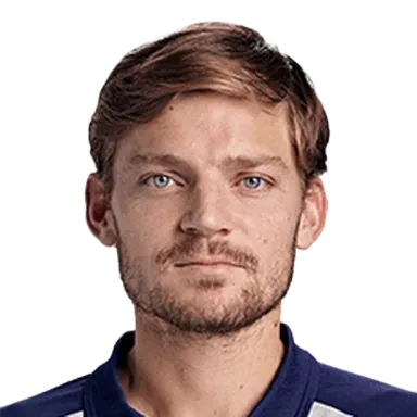 David Goffin